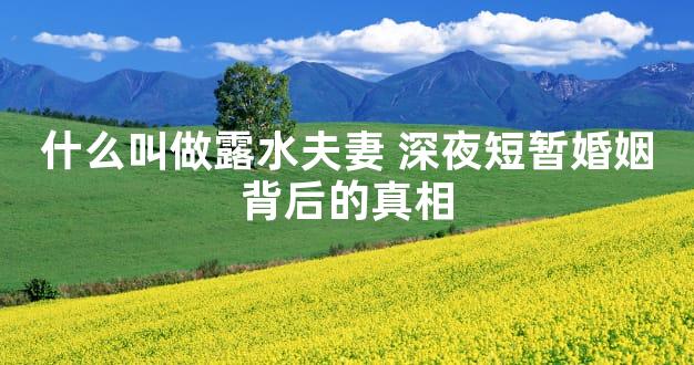 什么叫做露水夫妻 深夜短暂婚姻背后的真相